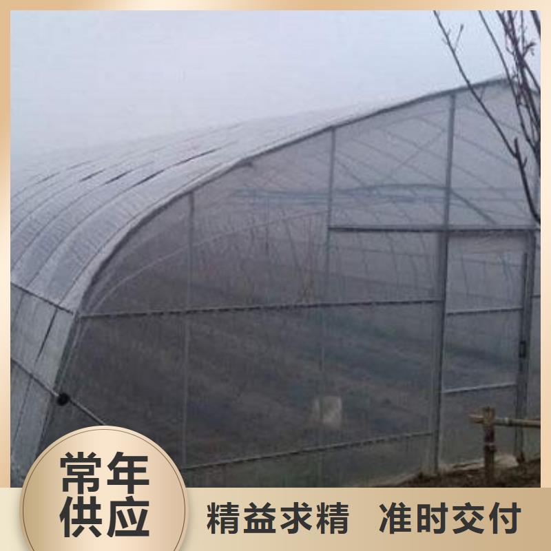 大棚管-连体大棚全新升级品质保障