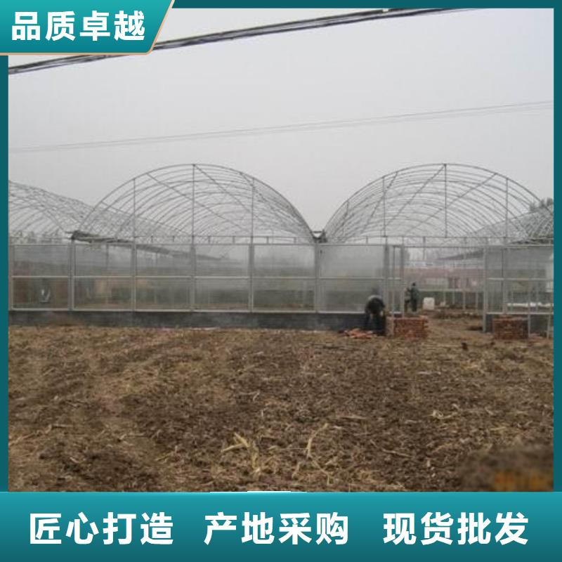 大棚管_连栋温室搭建对质量负责