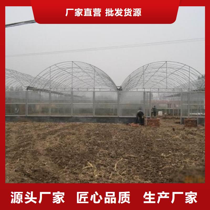 大棚管质量为本