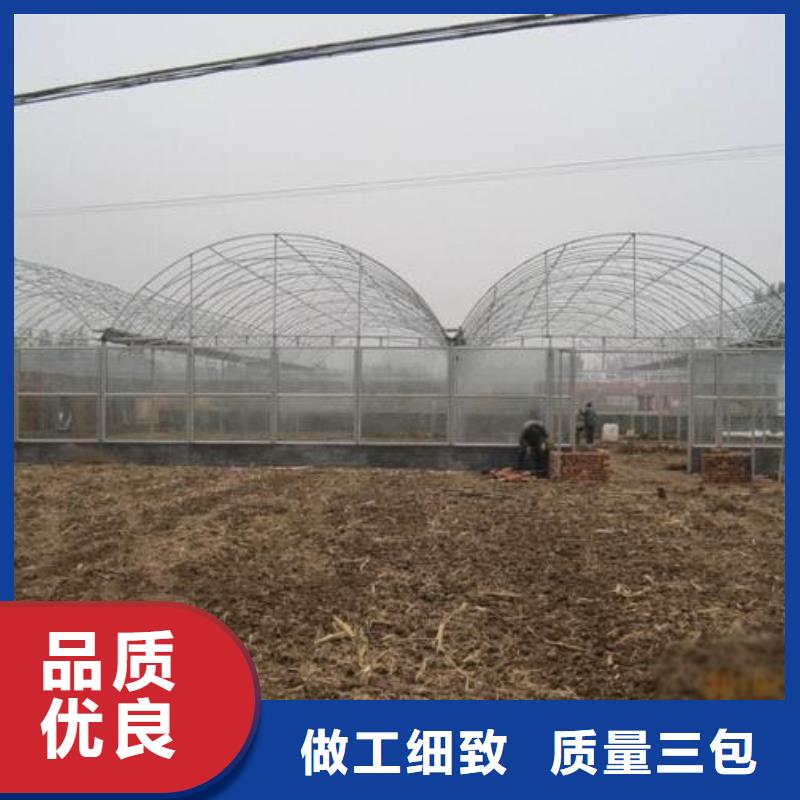 【大棚管】椭圆管温室大棚一站式供应