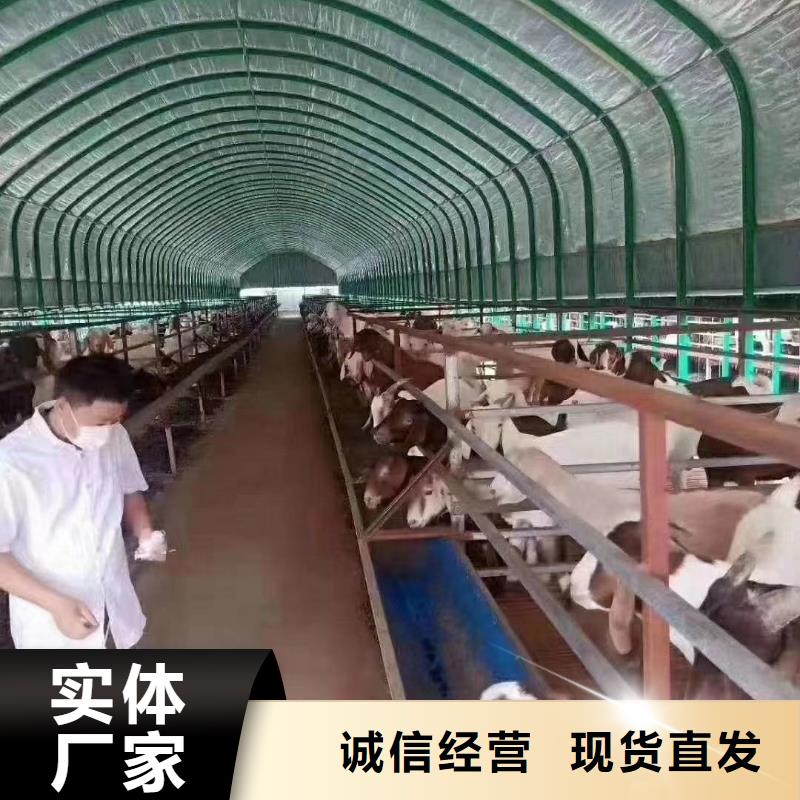 大棚管椭圆管温室大棚每个细节都严格把关