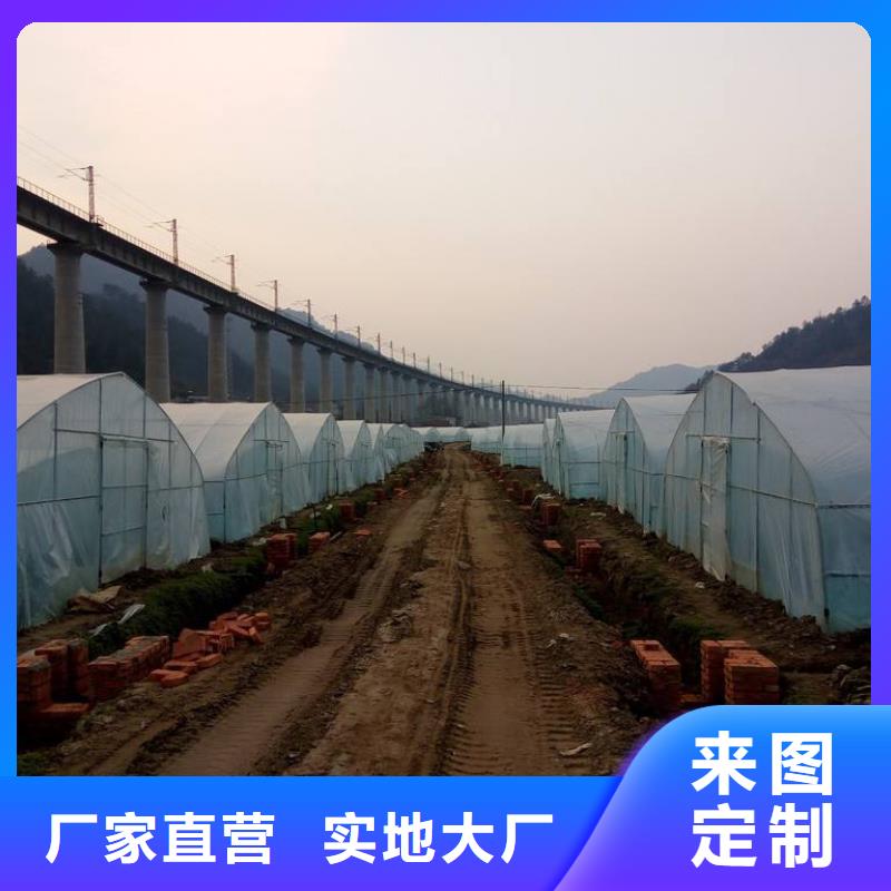 大棚管椭圆管温室大棚源头厂家经验丰富