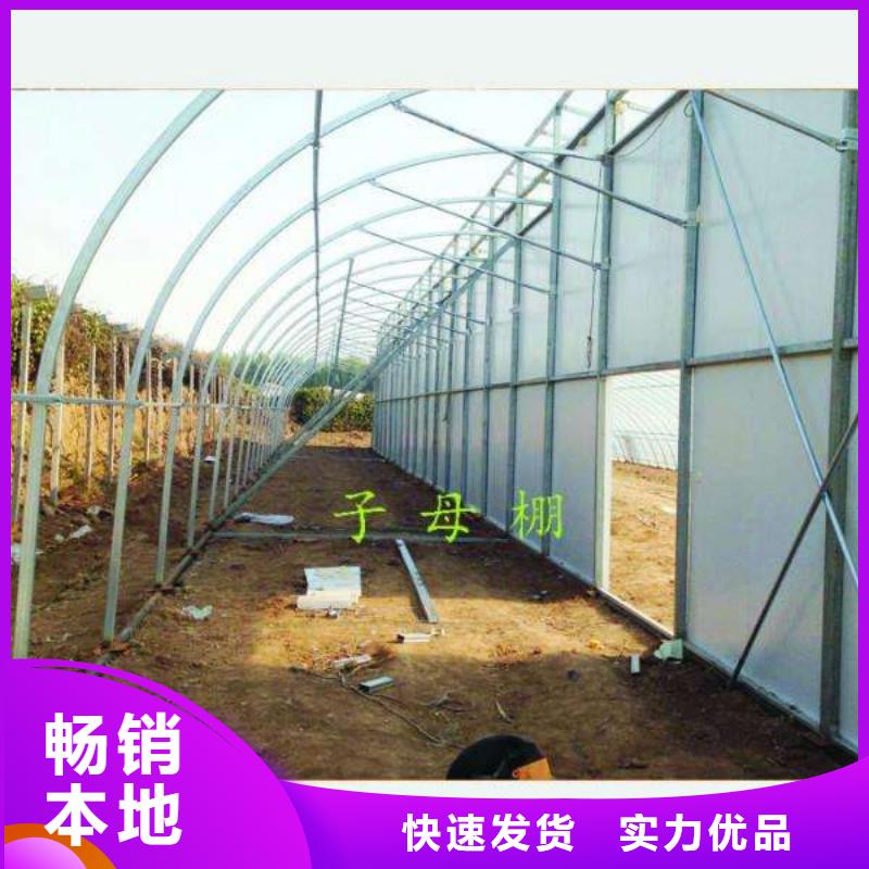 大棚管【连栋大棚管】源厂直接供货