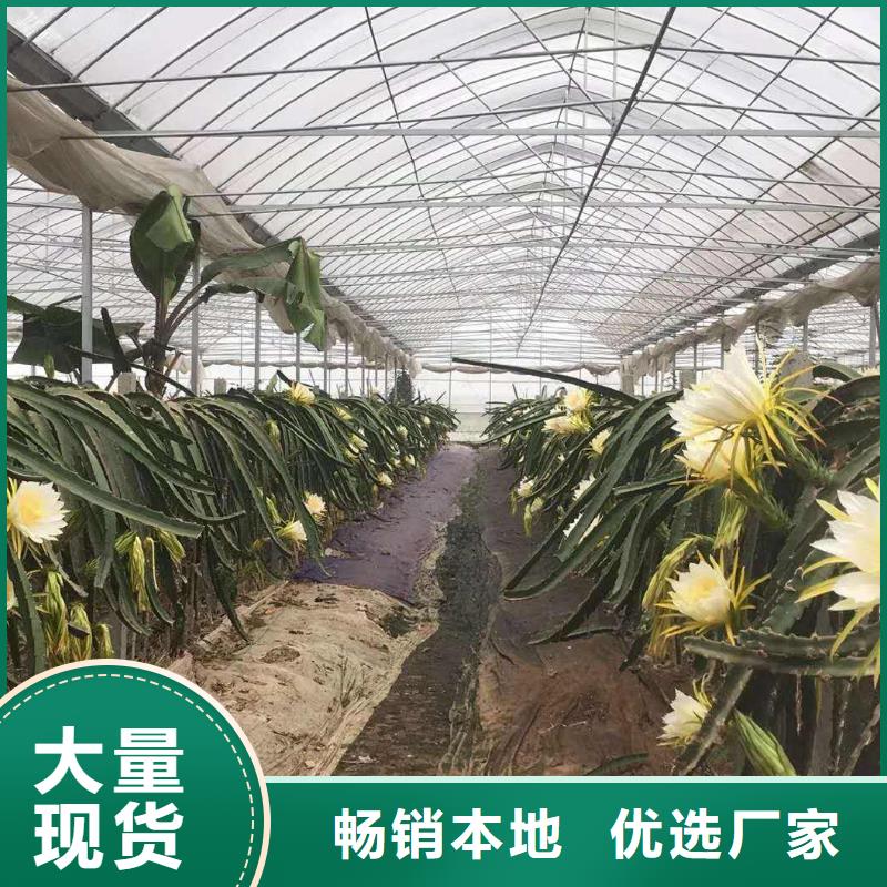 大棚管方管好品质售后无忧