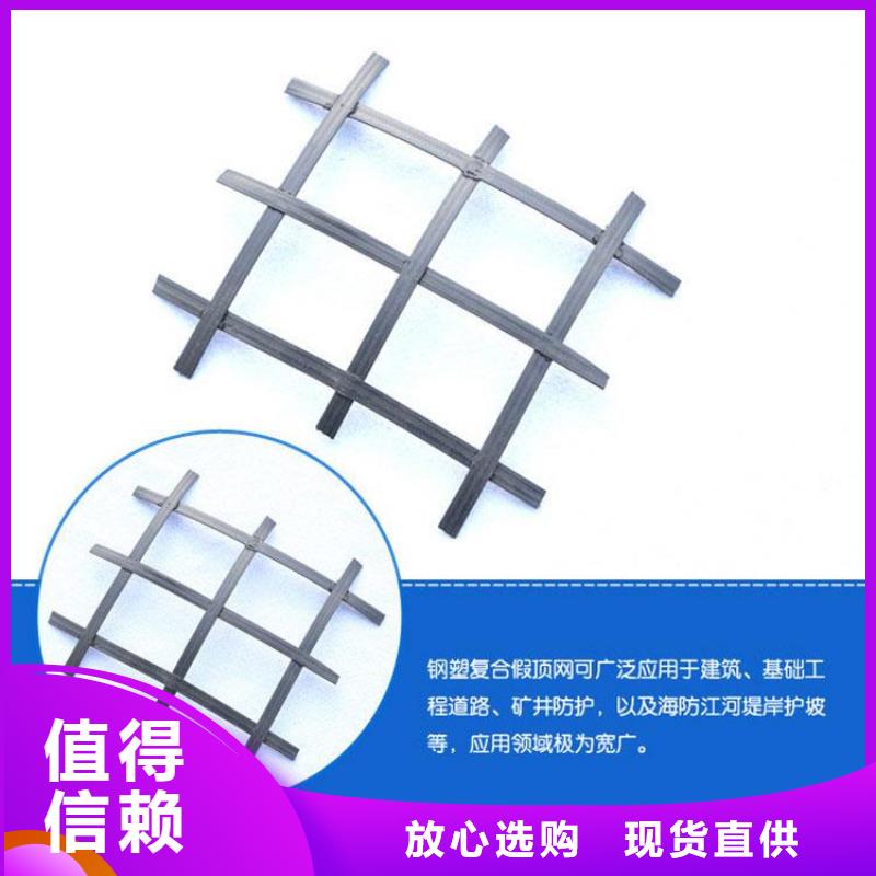 矿用钢塑复合假顶网_钢塑土工格栅优选厂商