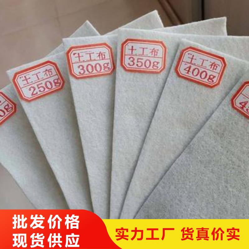 【土工布PP焊接土工格栅厂家批发价】