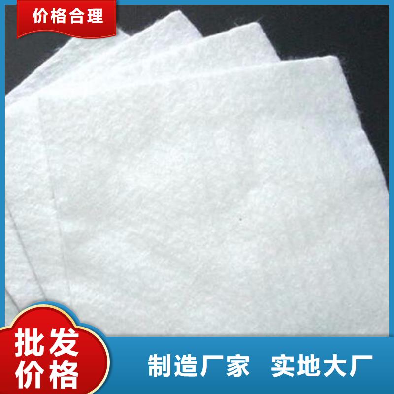 土工布凸结点钢塑土工格栅就近发货