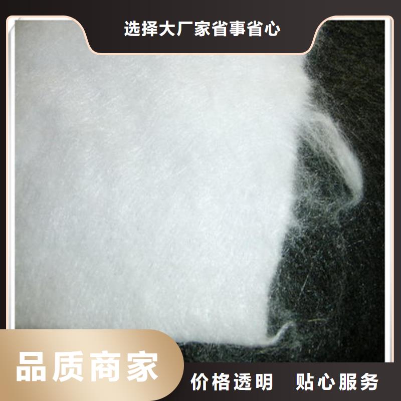 土工布双向塑料土工格栅工厂自营