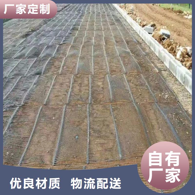 单向塑料土工格栅-双向拉伸塑料格栅严格把控质量