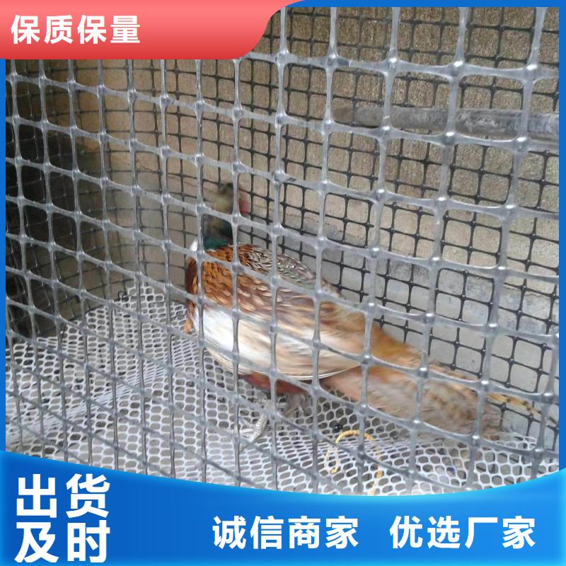 双向塑料土工格栅,软式透水管从厂家买售后有保障