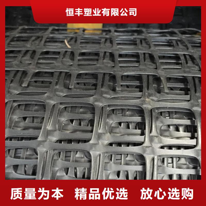 双向塑料土工格栅土工滤网专业生产品质保证