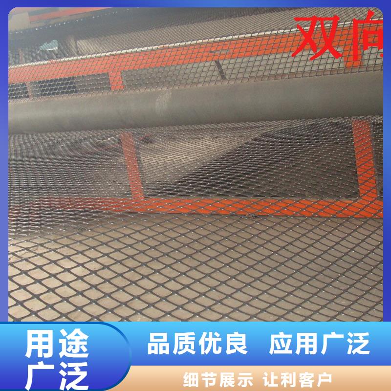 【双向塑料土工格栅,聚乙烯土工膜出厂严格质检】