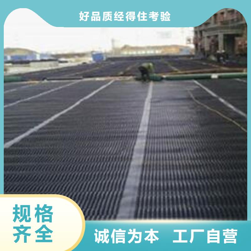 双向塑料土工格栅,土工滤网厂家直发