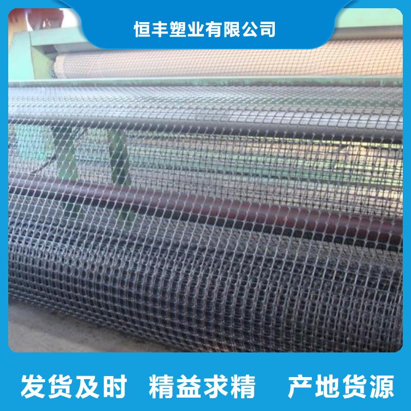 双向塑料土工格栅土工滤网专业生产品质保证
