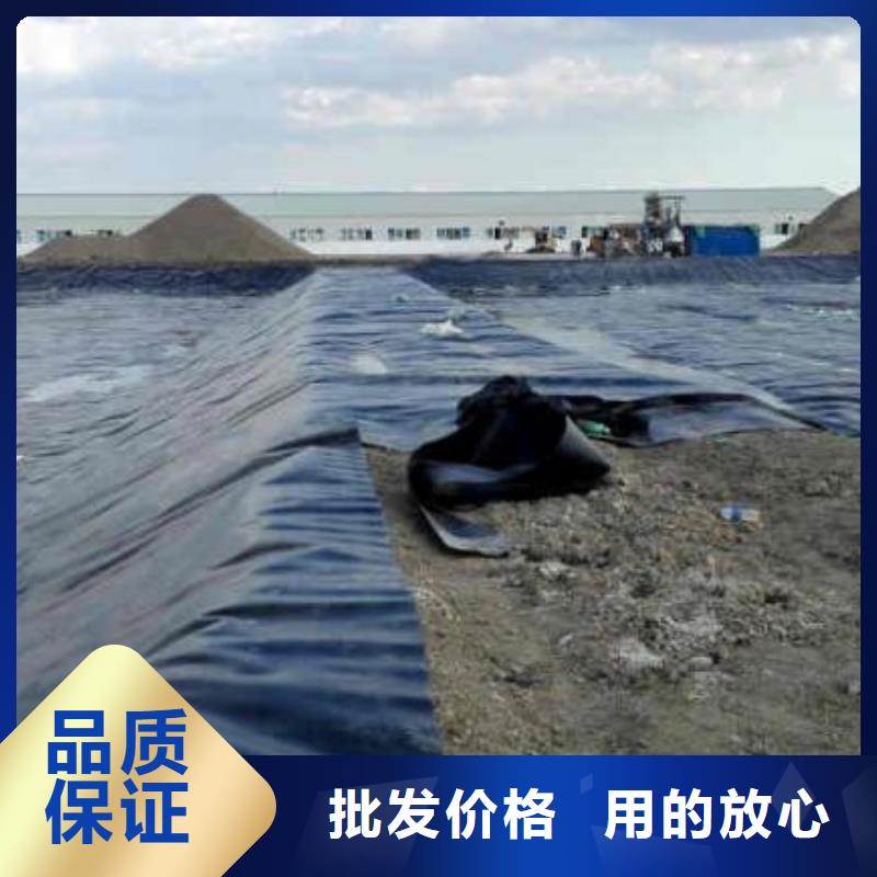 土工膜【三维植被网】批发货源