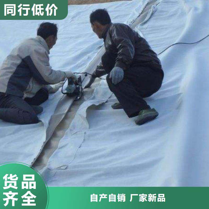 复合土工膜,土工席垫厂家规格全