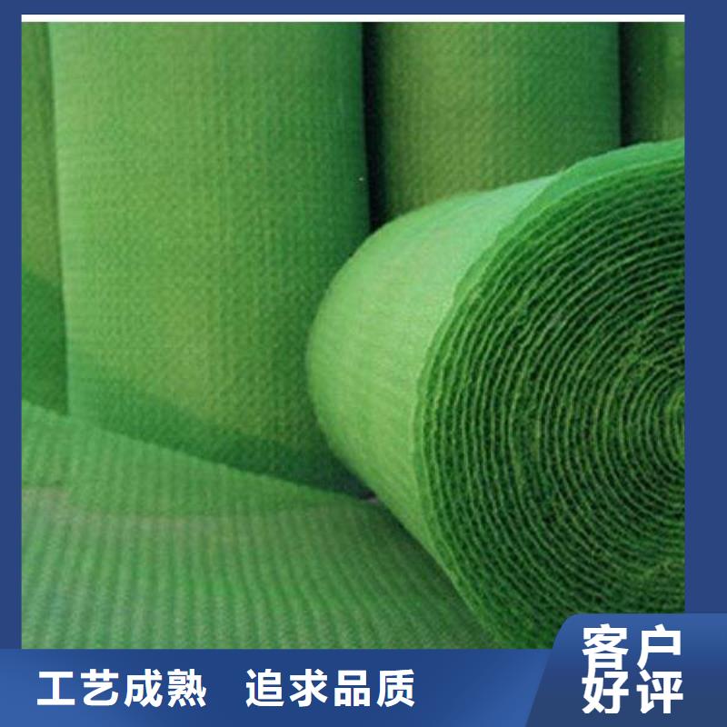 三维植被网膨润土防水毯源头厂源头货