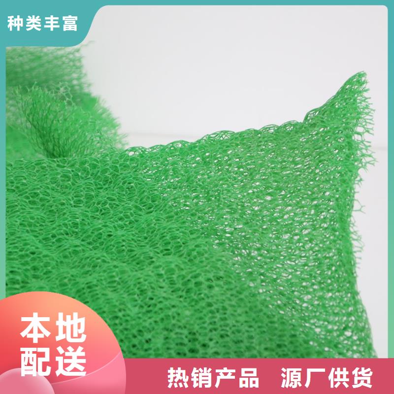 【三维植被网】塑料盲沟厂家质量过硬