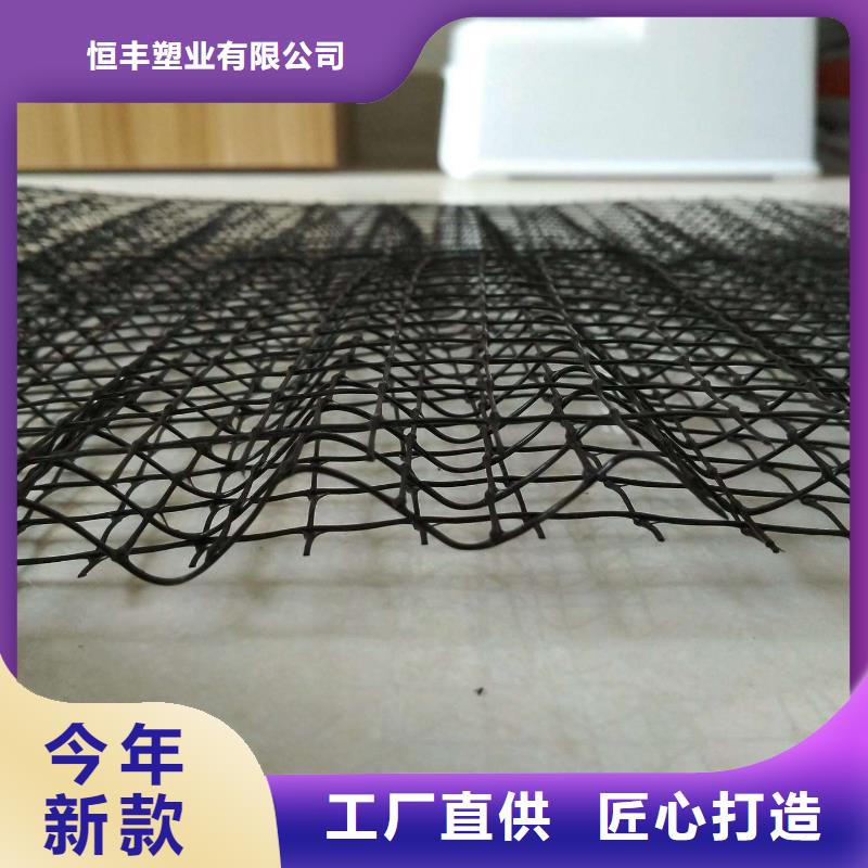 三维植被网三维土工网垫产品实拍
