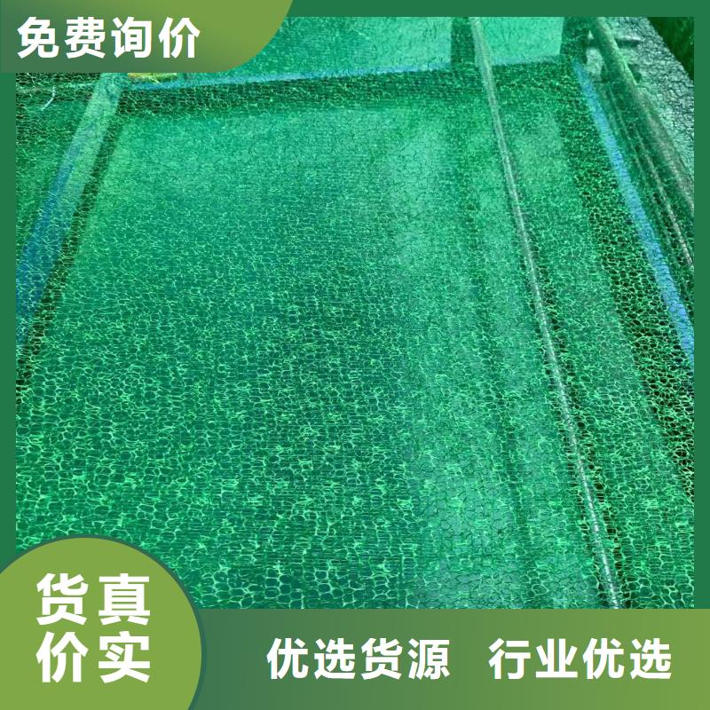 【三维植被网】hdpe复合膜供您所需