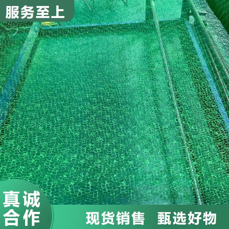 三维植被网,HDPE土工膜实体厂家