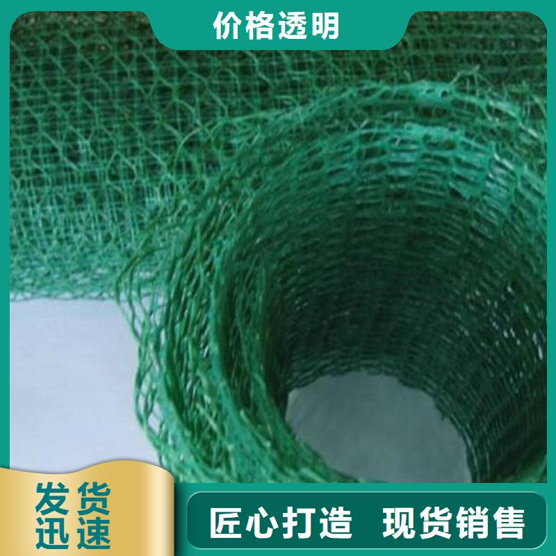 三维植被网-涤纶土工格栅采购