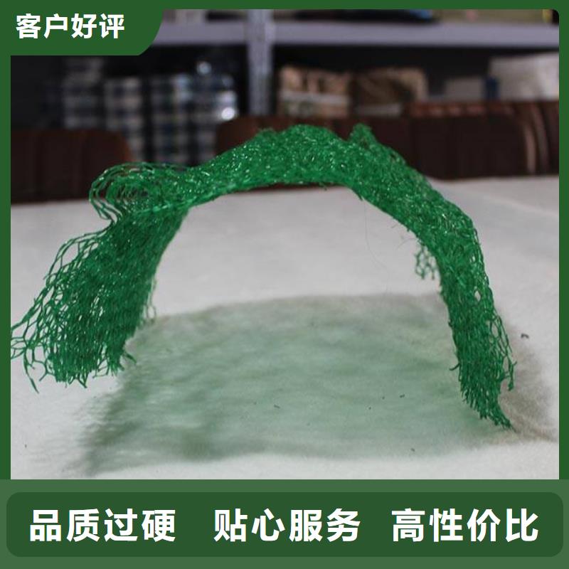 三维植被网_土工格室价格低