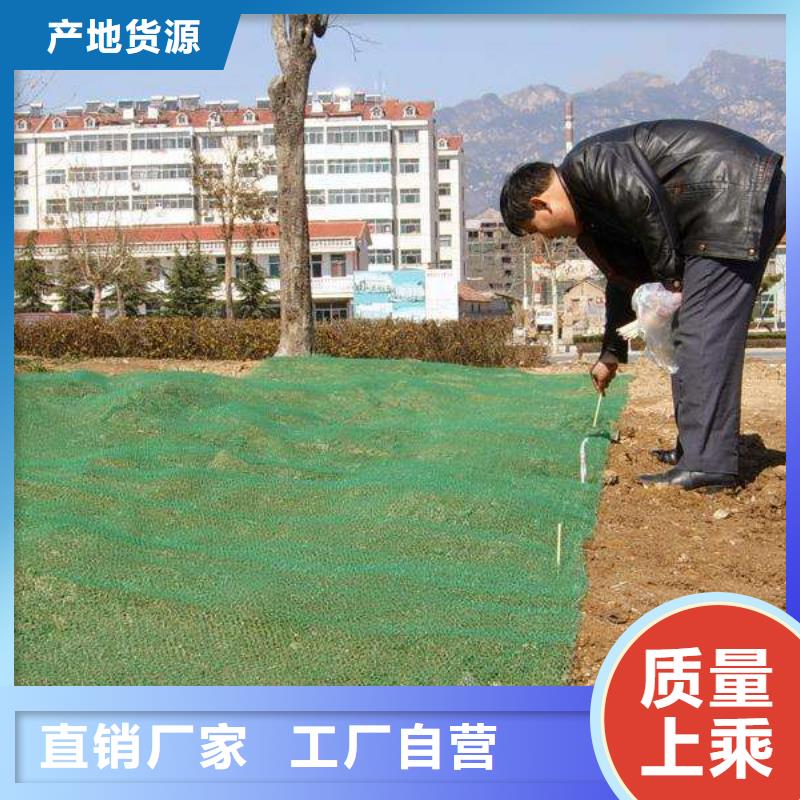 【三维植被网】-城建土工膜源厂定制