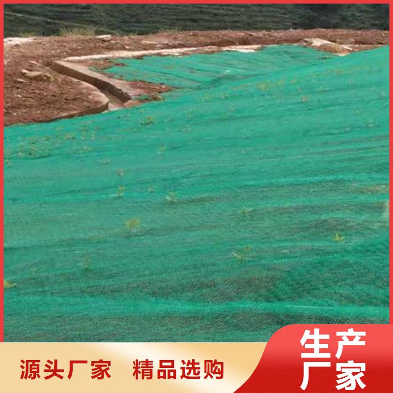 三维植被网土工滤网精品选购