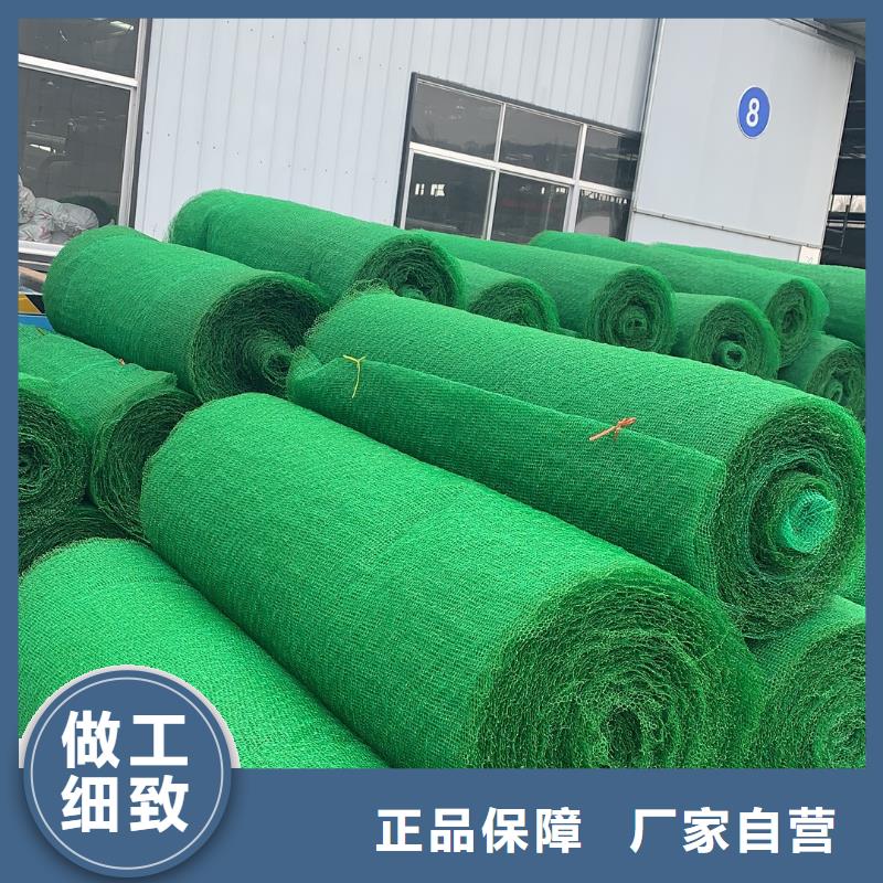 三维植被网HDPE土工膜精选优质材料