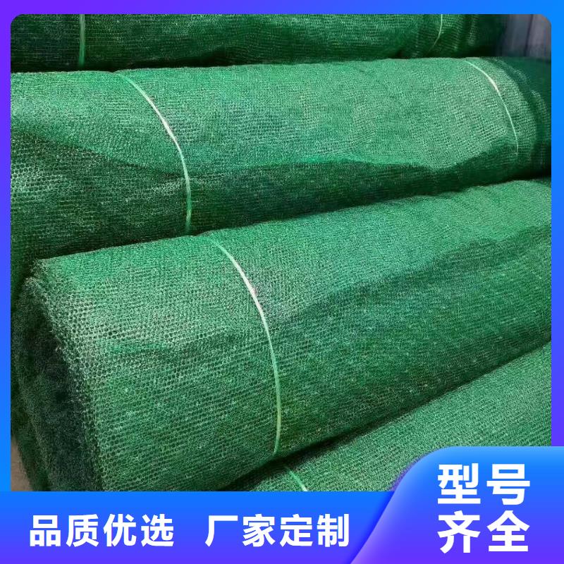 三维植被网,【三维复合排水网】厂家货源稳定