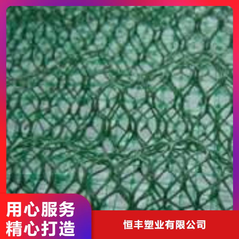 三维植被网膨润土防水毯源头厂源头货