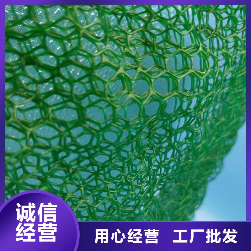 三维植被网HDPE土工膜性能稳定