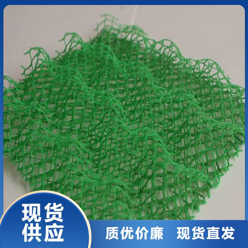 三维植被网防尘布海量货源