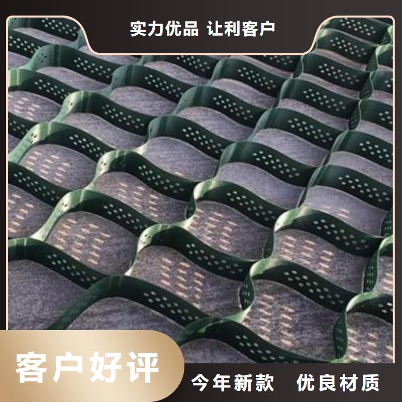土工格室双向塑料土工格栅拥有多家成功案例