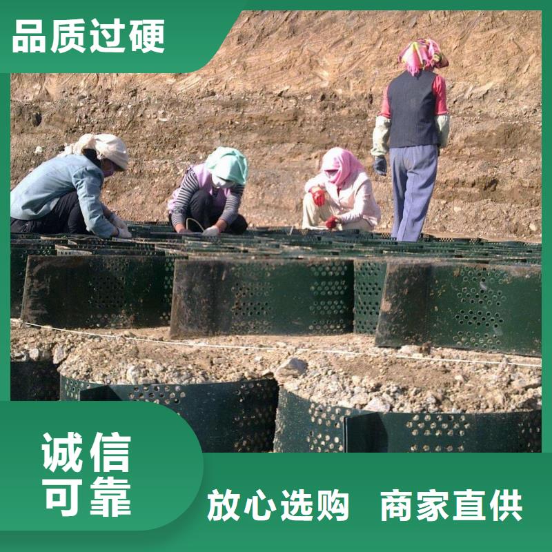土工格室【加筋布】服务至上