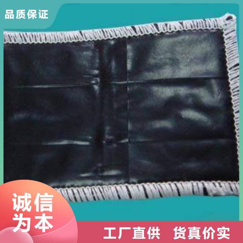 膨润土防水毯防渗土工膜产品优良