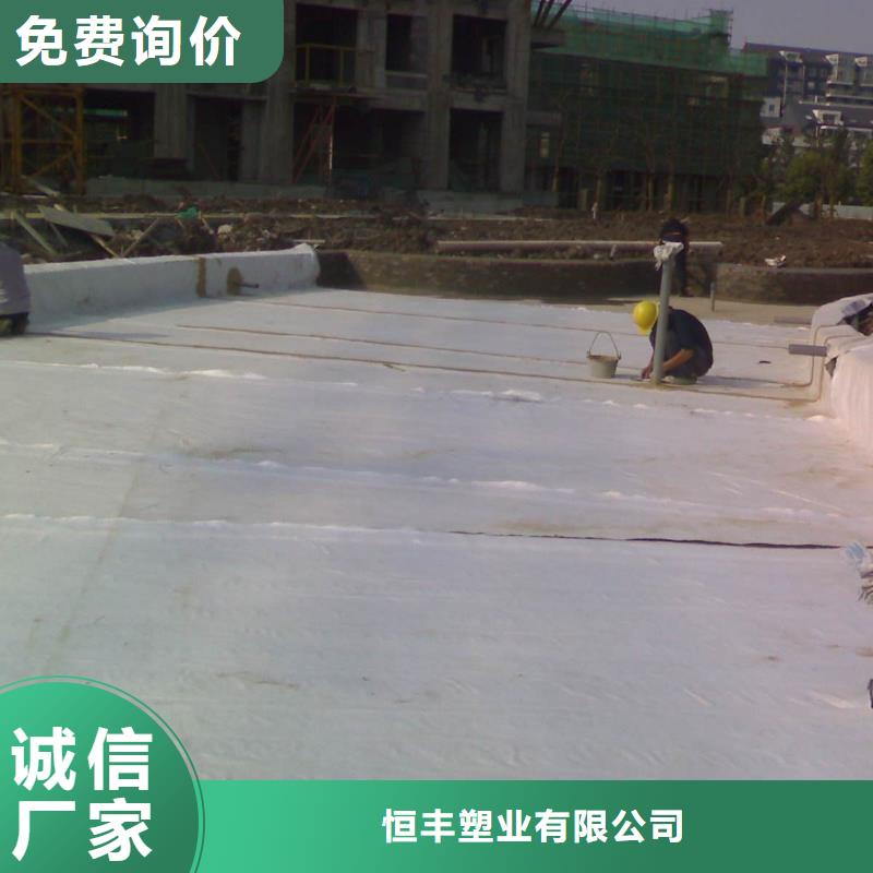 膨润土防水毯护坡土工网适用范围广