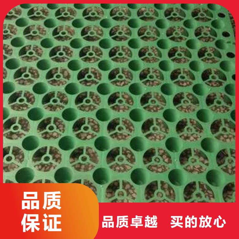 排水板城建土工膜专注品质