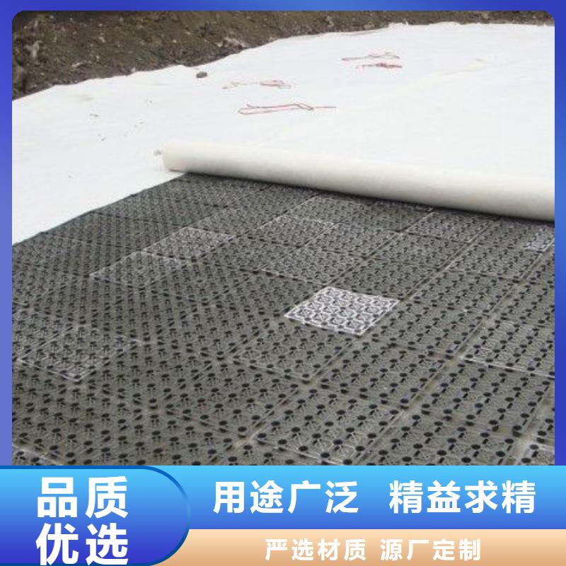 排水板毛细排水板高性价比