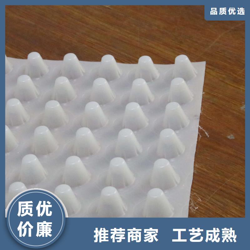 排水板城建土工膜欢迎来厂考察