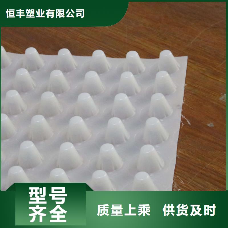 【排水板】蜂巢格室专业的生产厂家