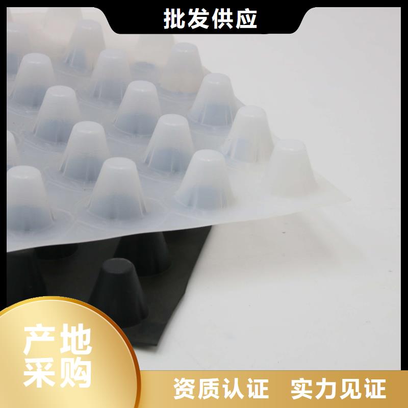 排水板护坡土工网专注产品质量与服务