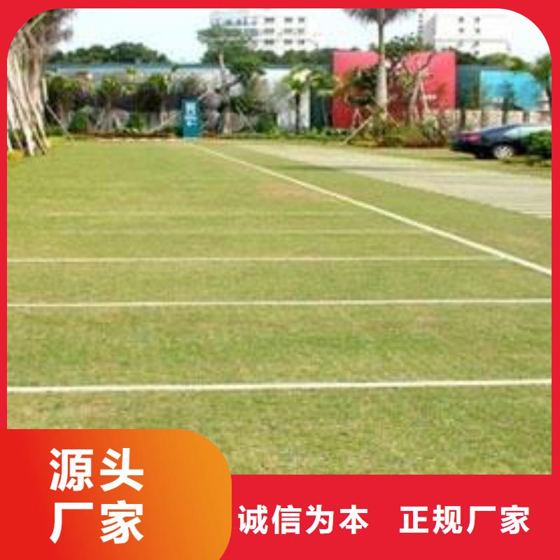 植草格【HDPE土工膜】严谨工艺