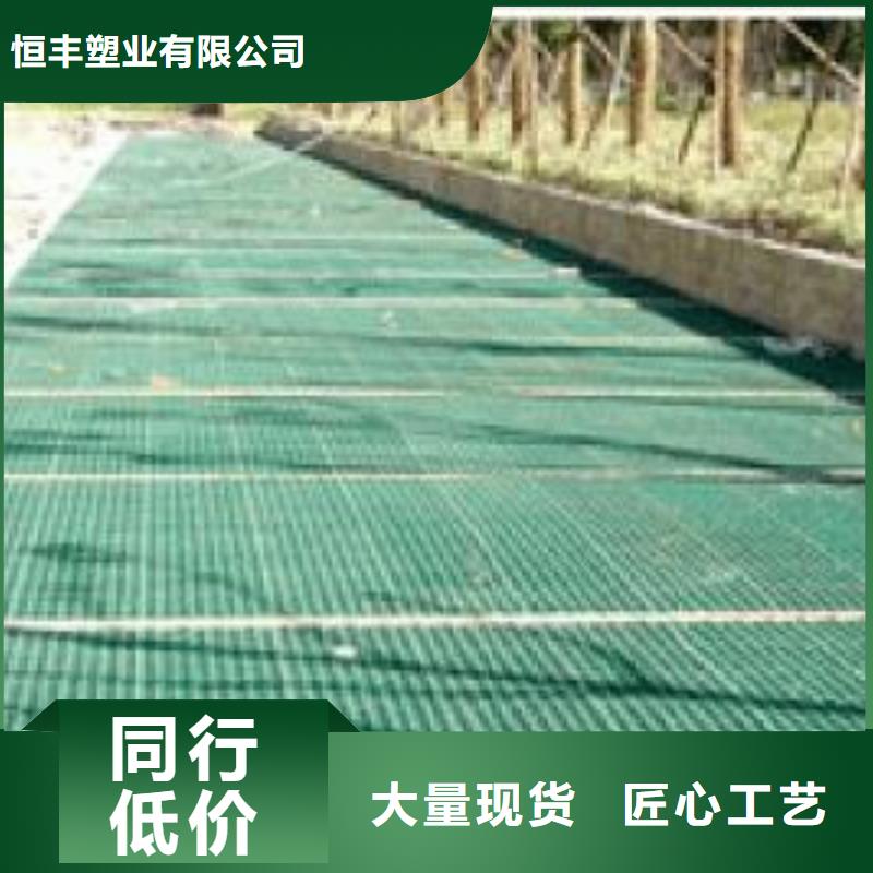 植草格HDPE土工膜厂家技术完善
