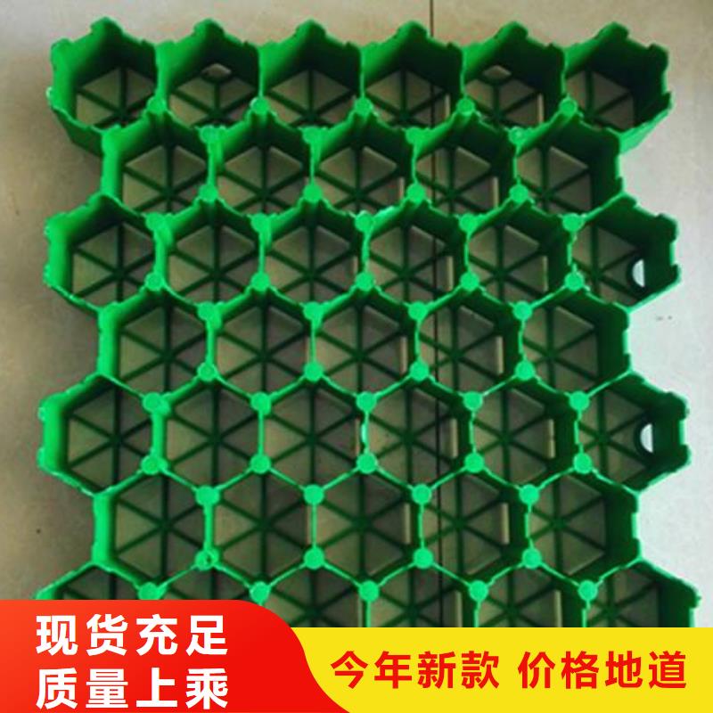 植草格hdpe复合膜货源直供