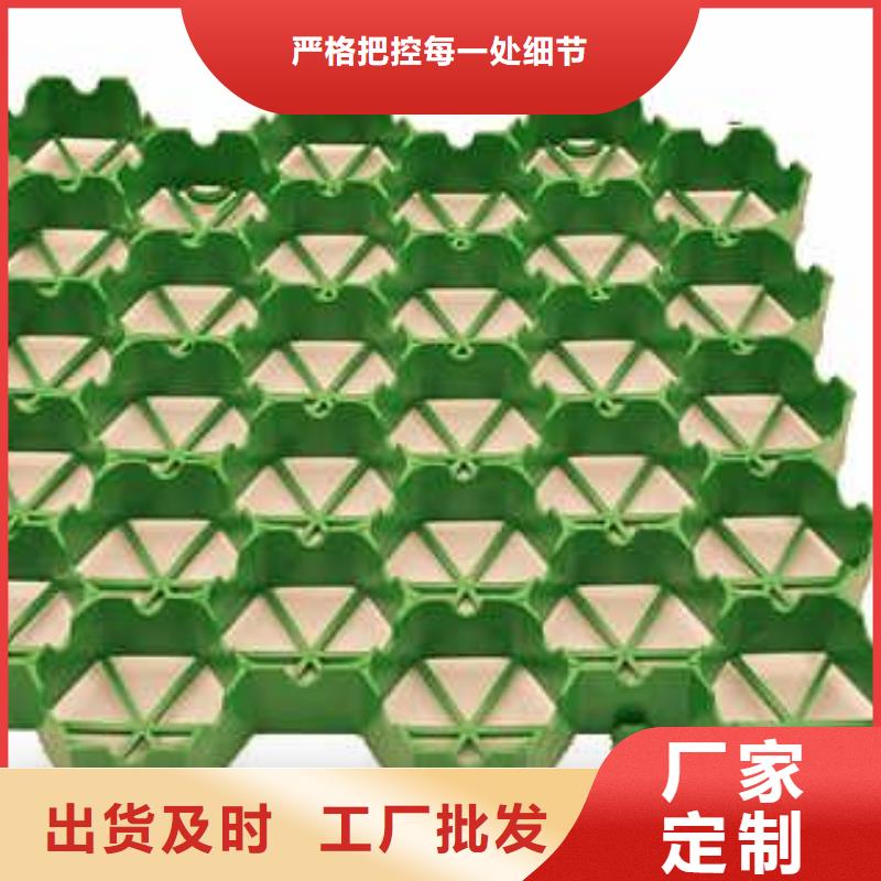 植草格-【土工滤网】源头把关放心选购