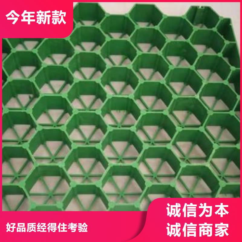 植草格双向塑料土工格栅产地直销