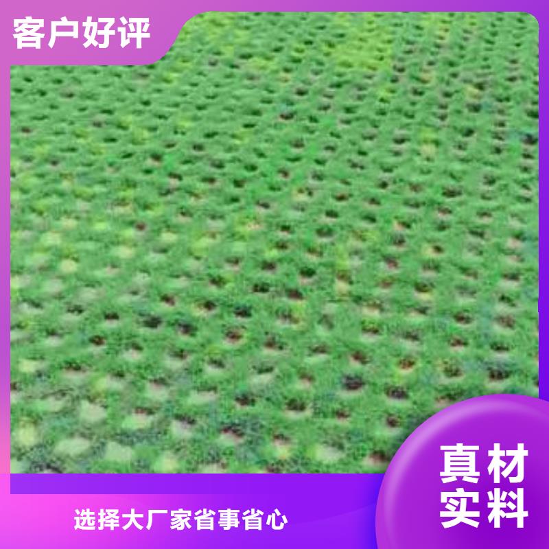 植草格HDPE土工膜技术先进