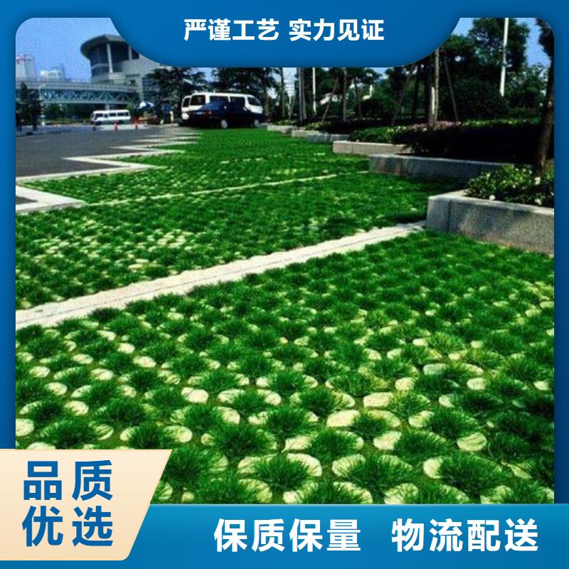 植草格塑料盲沟专注细节更放心